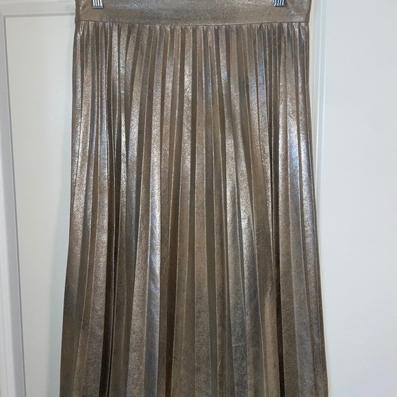 Zara Metallic Pleated Skirt - Picture 1 of 3
